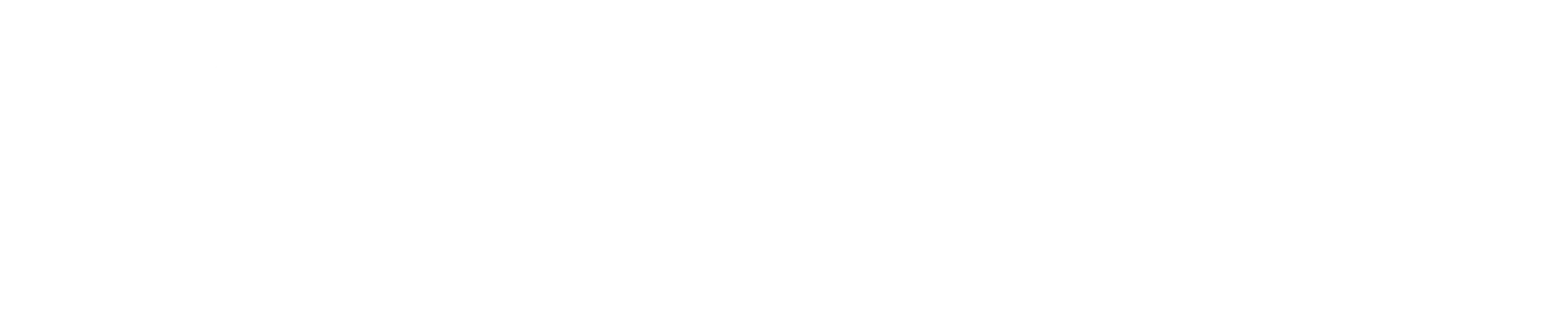 LOGO white v2 mc scaled 1 1